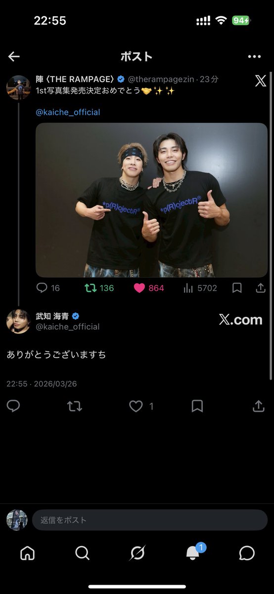 🦁amichapo🐺 tweet media