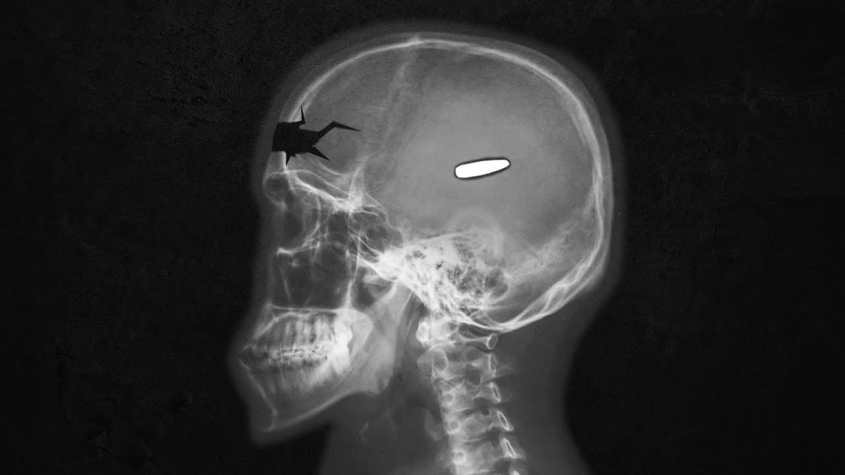 Neural Space tweet media