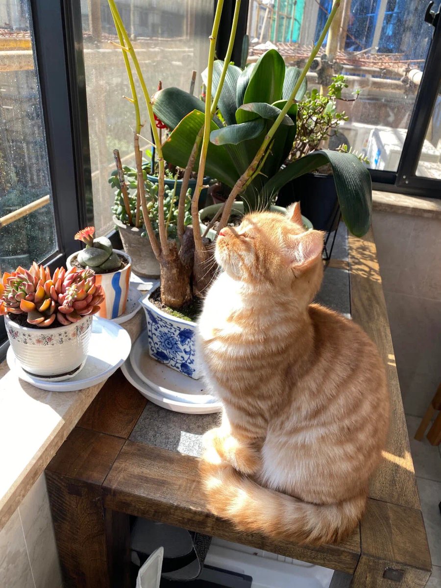 Neenah Y tweet media