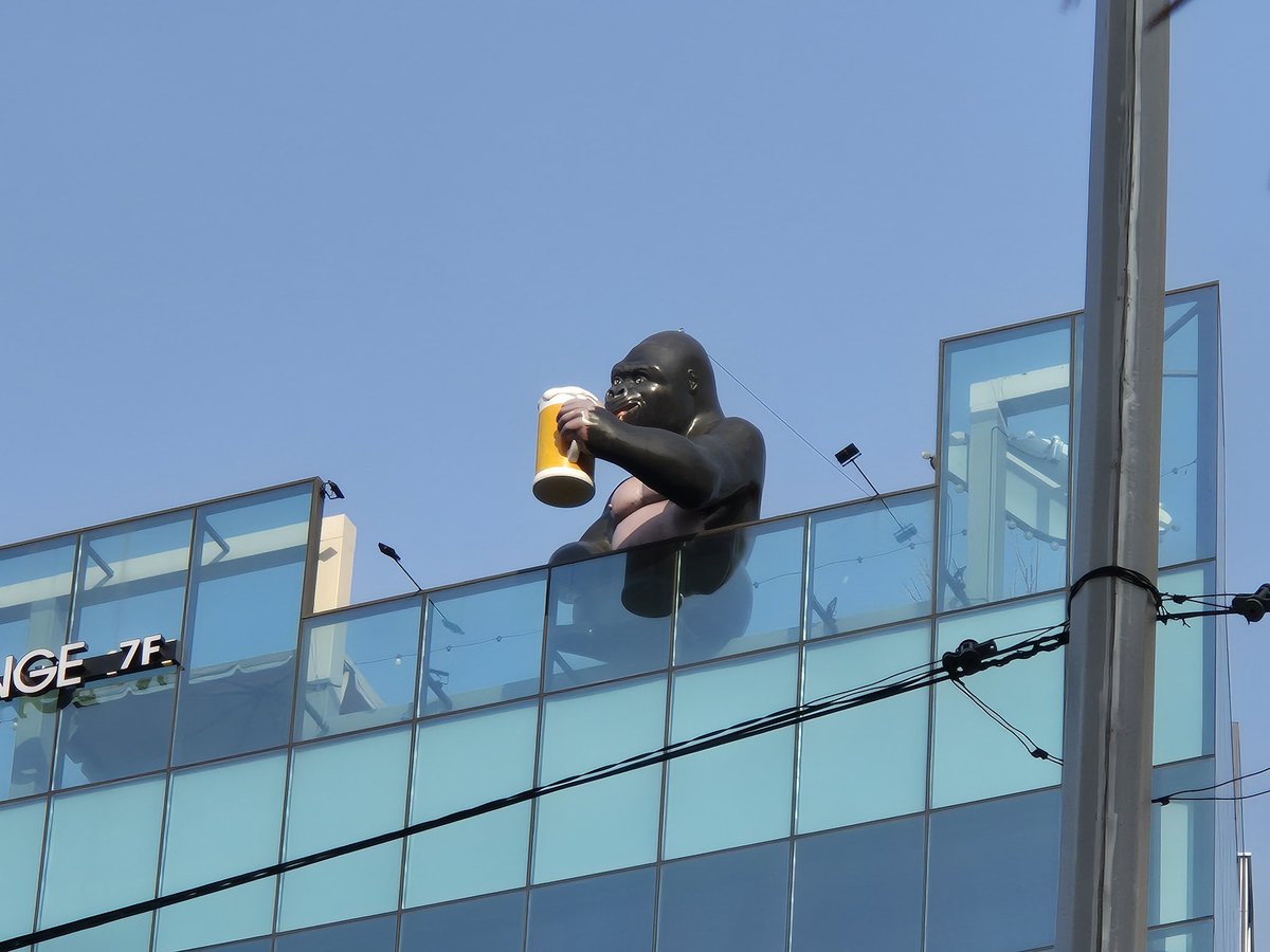 트렌드마켓 tweet media