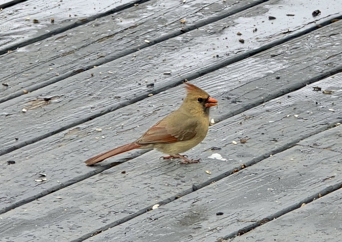 O'teach John tweet media