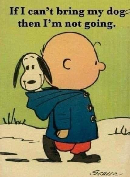 Dog Lovers tweet media