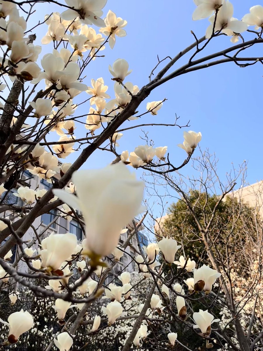 xiongjiafa tweet media