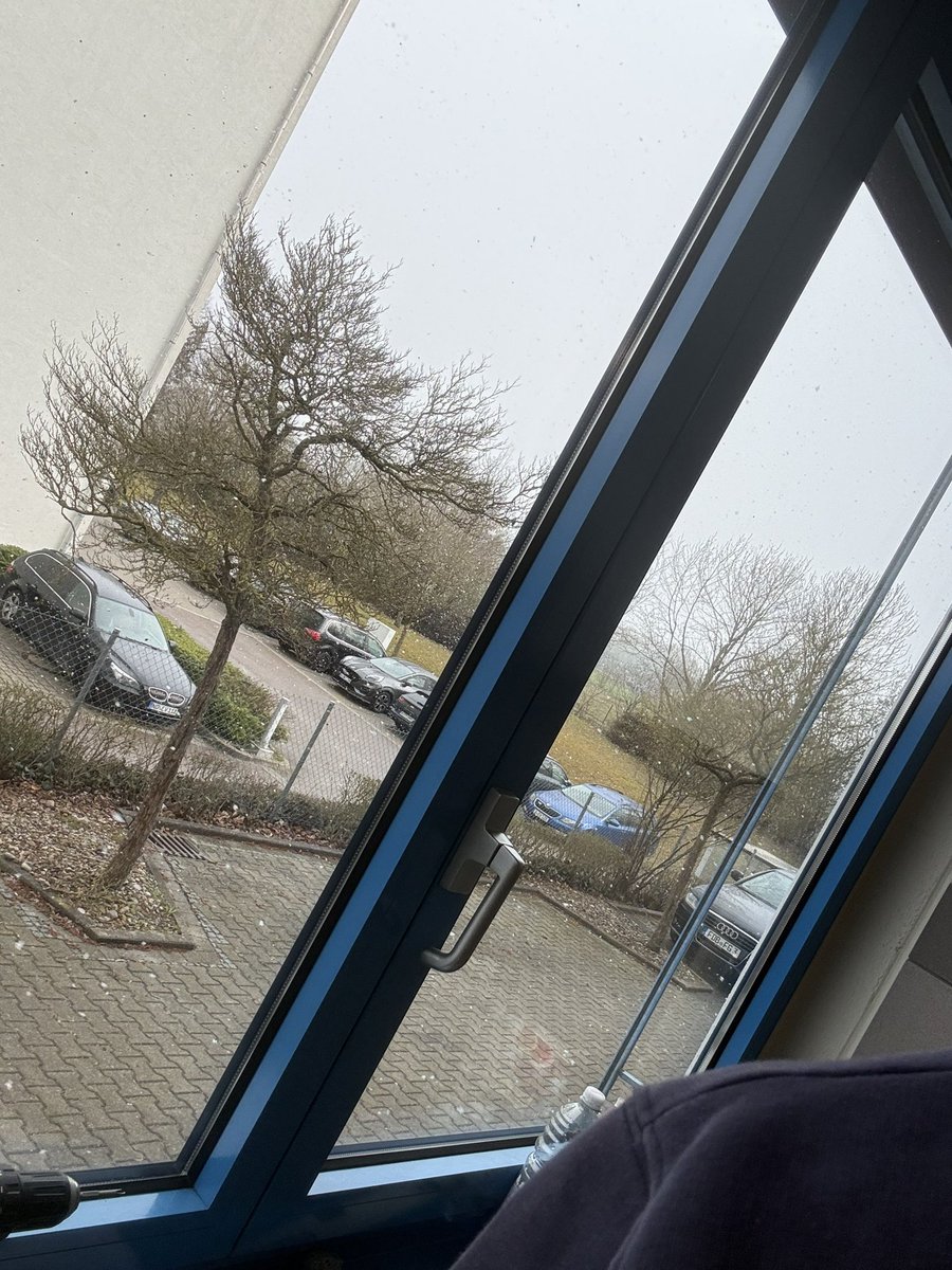 هـذال tweet media