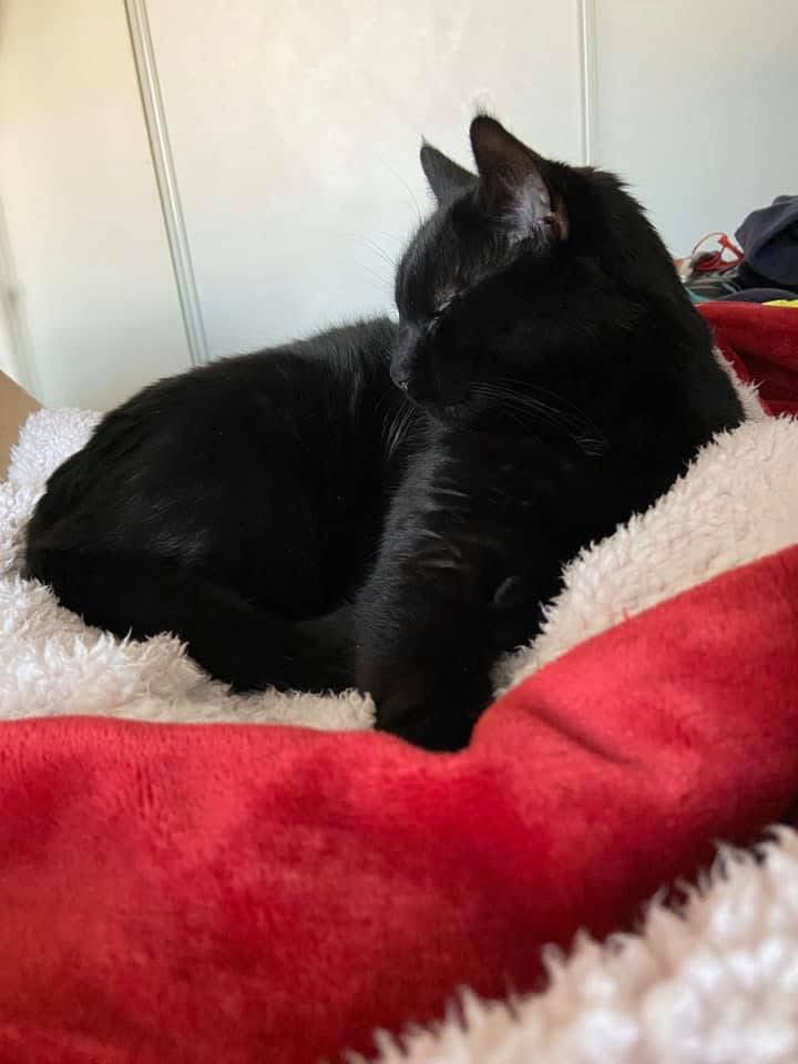 🖤 Gros Valentin 🖤✨🌈 tweet media