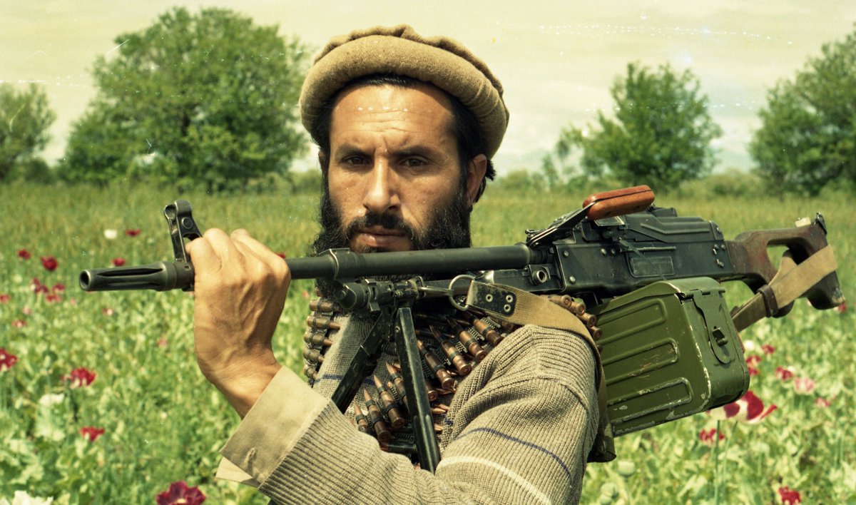 MohammadAfghan tweet media