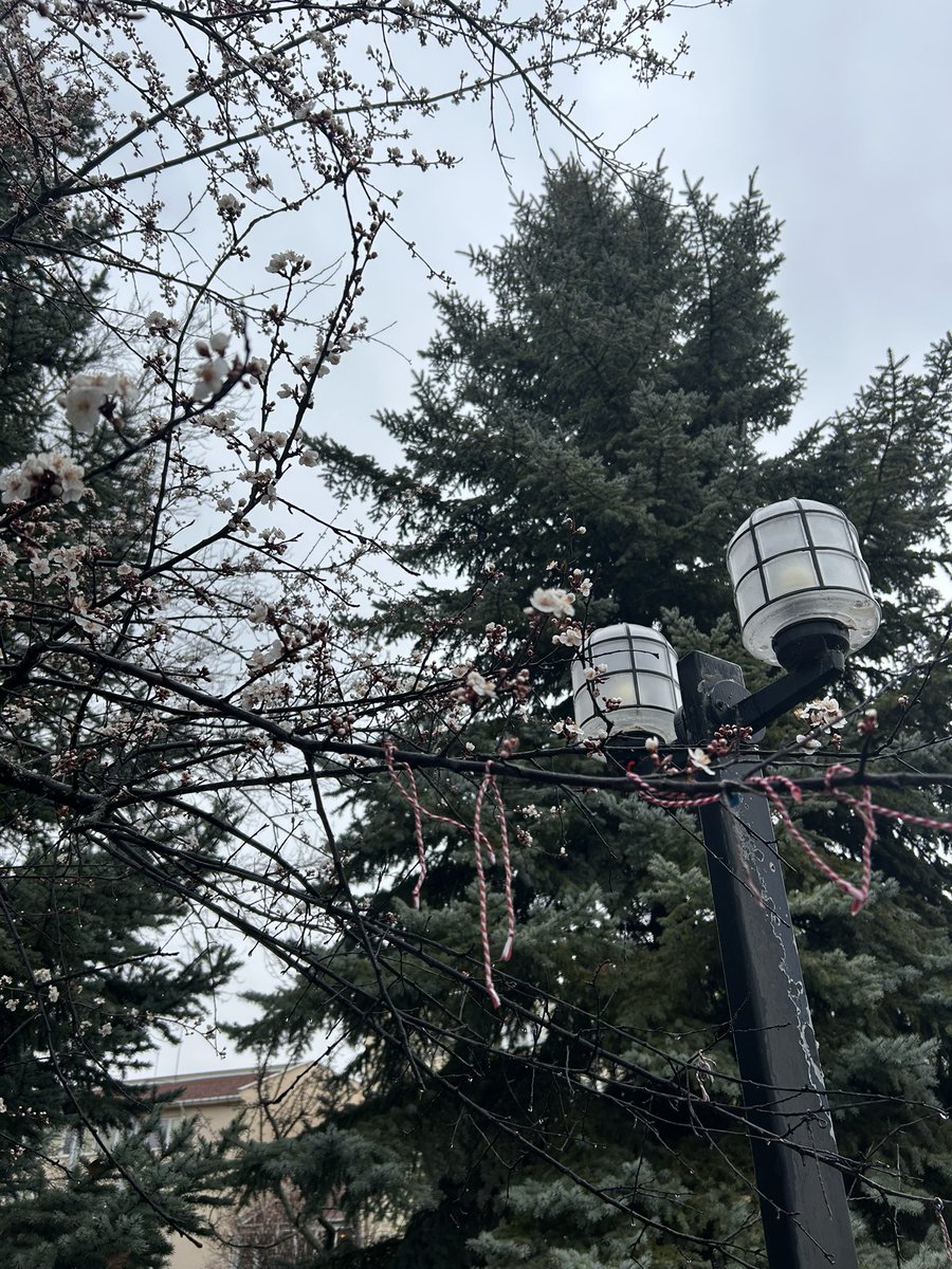 azra ☰ tweet media