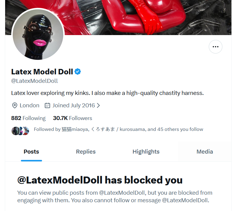 ArkStranger Rubberdolly tweet media