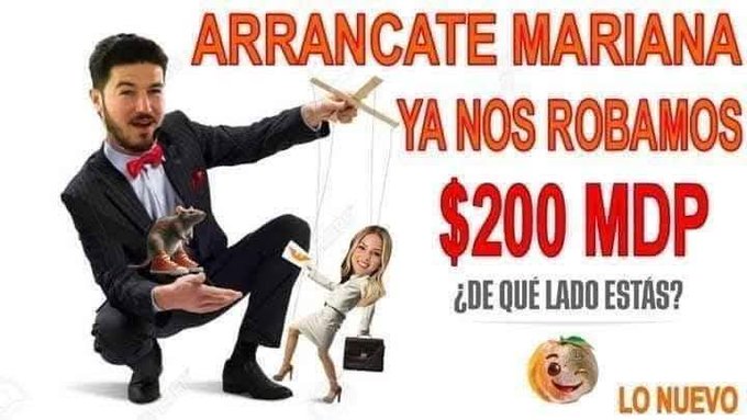 Andrea Sánchez tweet media