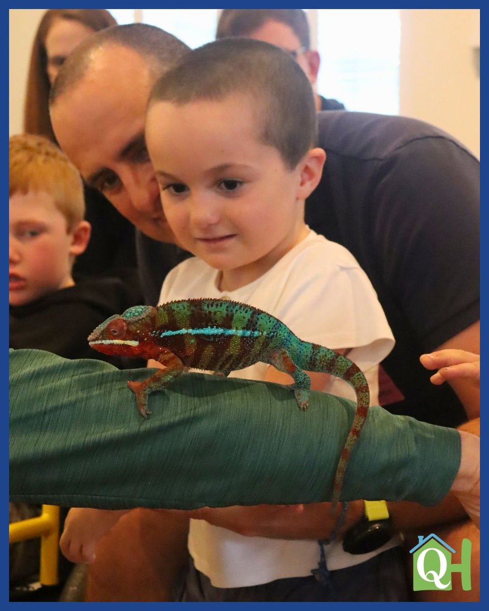 Quantum House tweet media