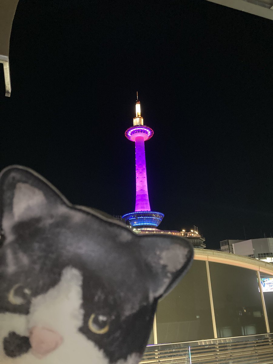 むろネコ☆703号 tweet media