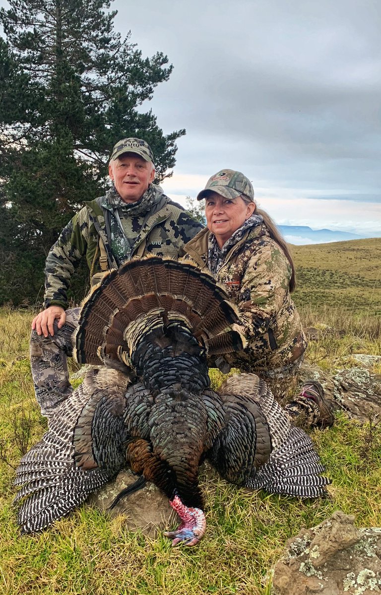 Turkey & Turkey Hunting tweet media