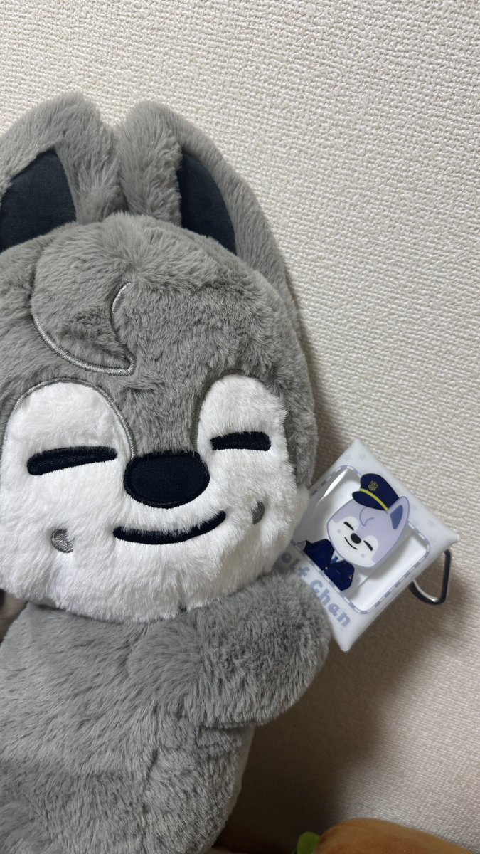 チャニのパム🐺✨ Pam tweet media