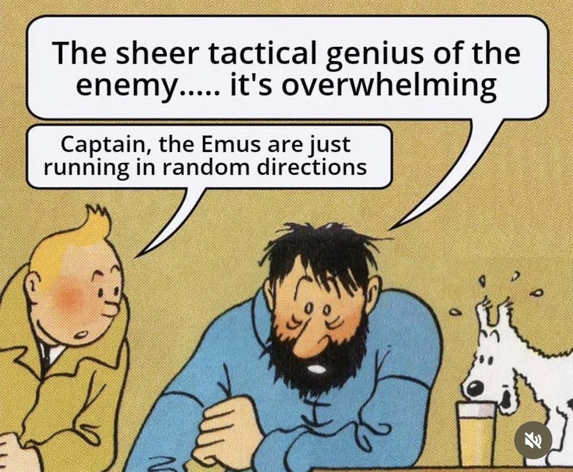 Artem Mikhlin tweet media