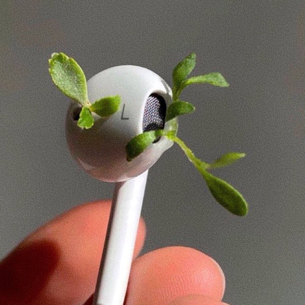 شاهر اللغبة tweet media