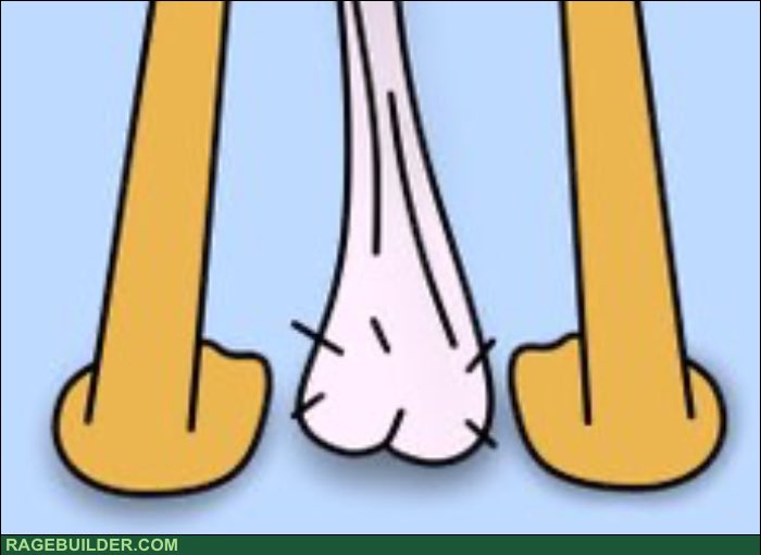 Mr $CHEAP 🇺🇸 tweet media