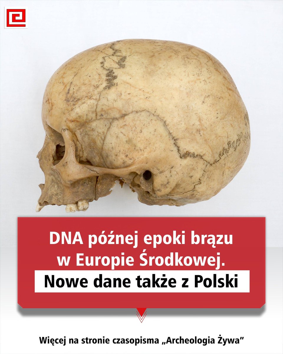 Archeologia Żywa tweet media
