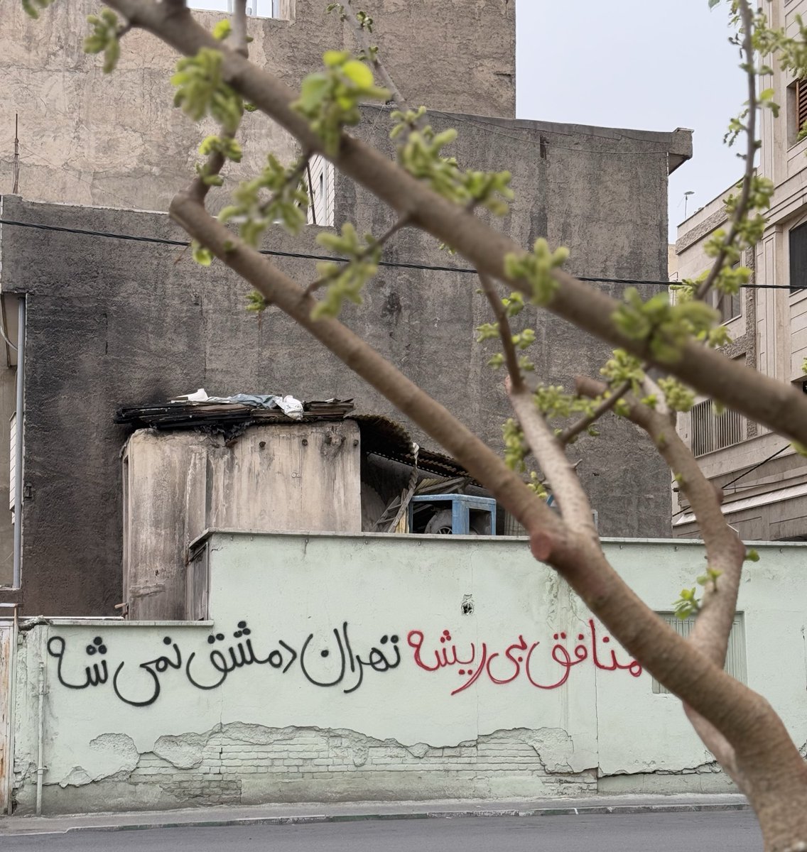 harir adeli tweet media