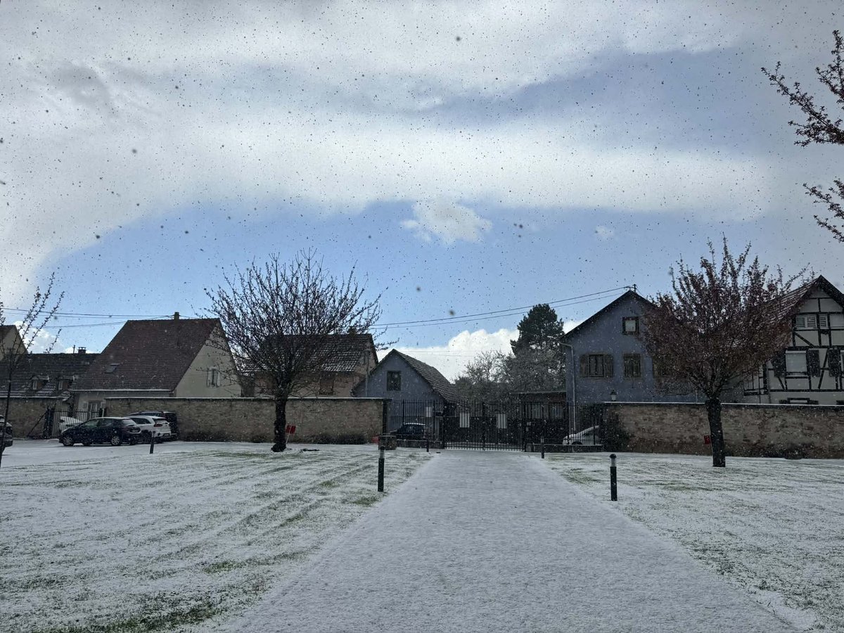 Meteovilles's tweet image. ❄️ Grosse #giboulée à Benfeld en #Alsace ce jeudi 26 mars 2026 avec grésil et #neige roulée ayant blanchi les sols en quelques minutes ! (photo ATMO-RISK)