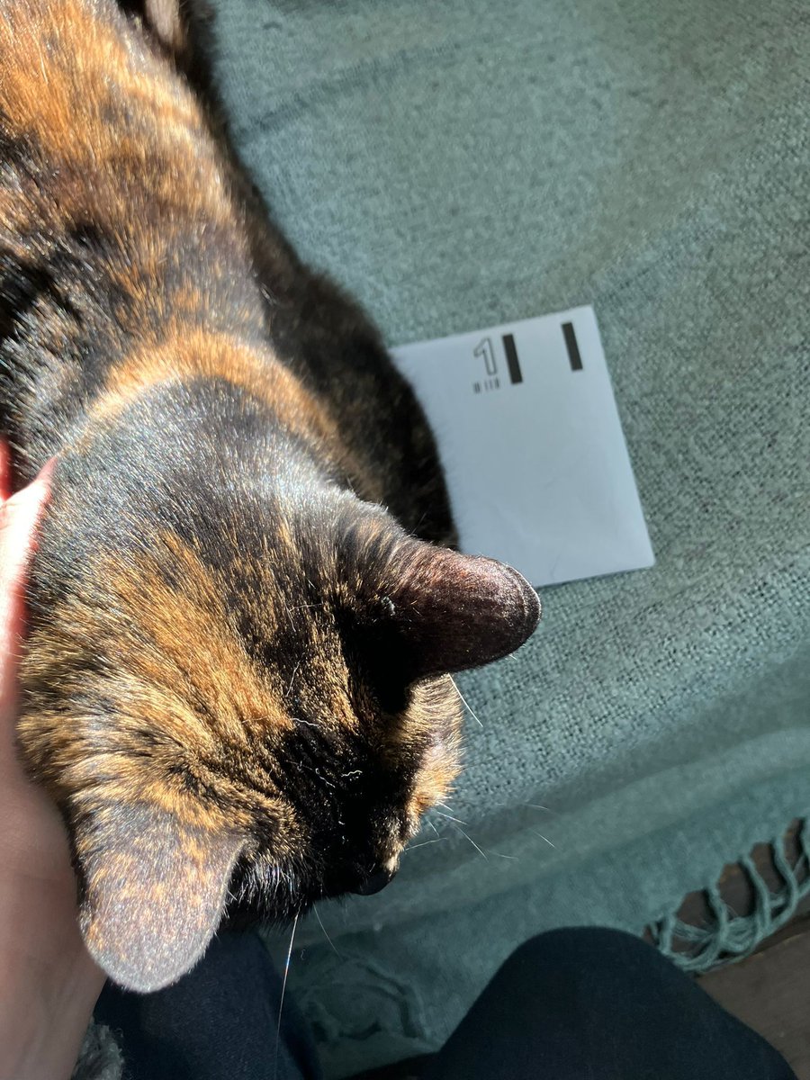 University of Nottingham UCU branch tweet media