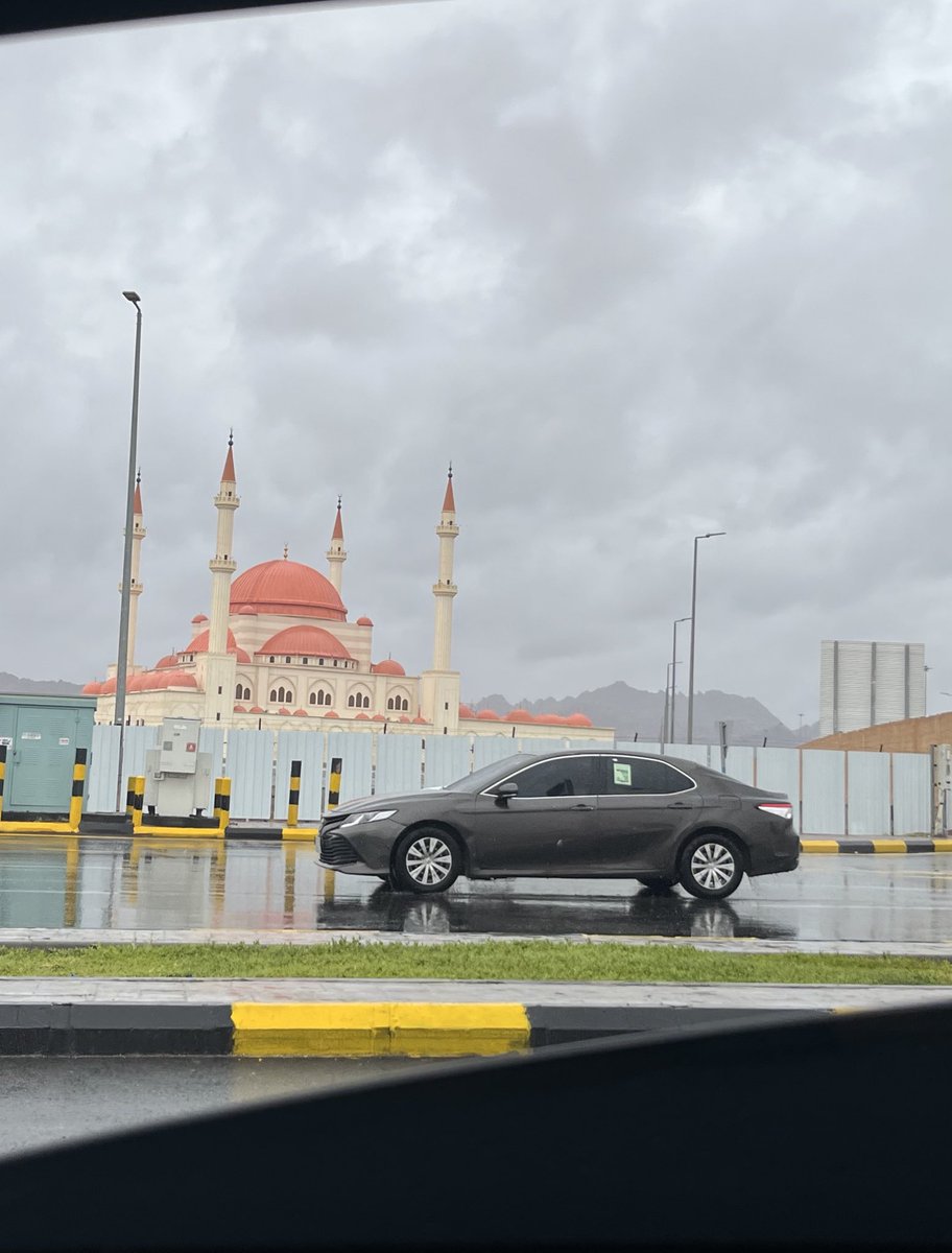 إيلا tweet media