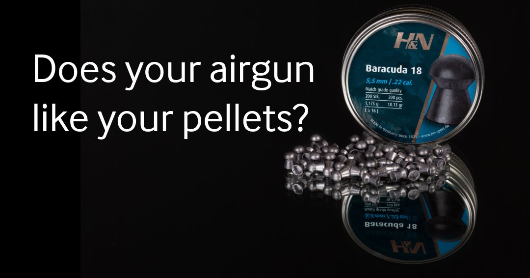 Pyramyd AIR tweet media