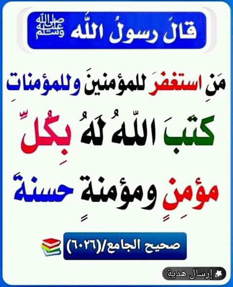 magdy mohamed tweet media