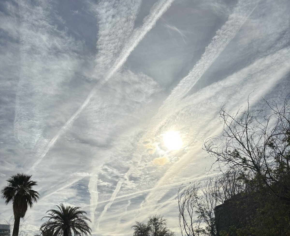 Anti Lockdown Alliance(GLOBAL) tweet media