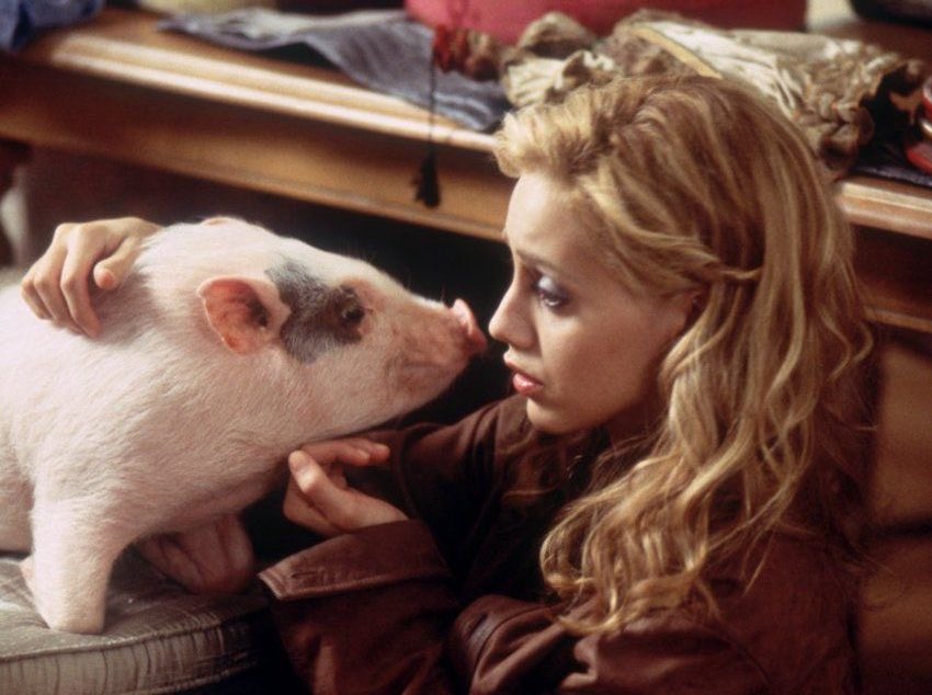 ѕαяαн☺︎ 👽🛸 tweet media