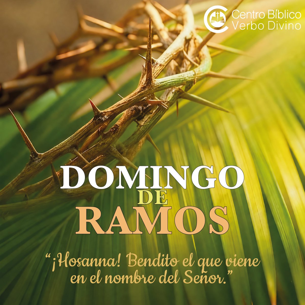 centrobiblicovd's tweet photo. 🌿𝗗𝗢𝗠𝗜𝗡𝗚𝗢 𝗗𝗘 𝗥𝗔𝗠𝗢𝗦🌿
En este camino sagrado que inicia con el Domingo de Ramos, abrimos el corazón❤️para recibir a Jesús con alegría😊, reconociéndolo como nuestro Rey 👑y Salvador. 🙏

#DomingoDeRamos #PasiónDeCristo #SemanaSanta #Hosanna #verbodivino https://t.co/qBAkvcJDzU