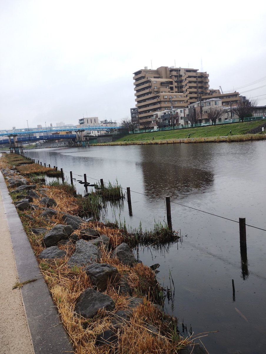 塗り吉練習中 tweet media