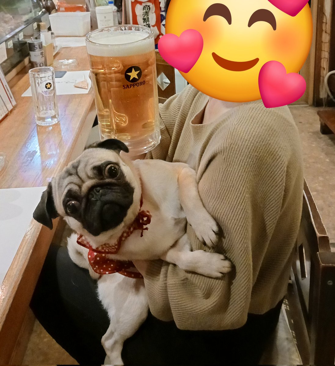 yumi11181's tweet photo. オレ🐶のお姉ちゃん（凛ちゃん）昨日命日…
デッカイ！ビール🍺飲みたい
ママに付き合ったよ🫠
凛ちゃん🌈☺️💞凛ちゃん💕 https://t.co/p1kjNXPA7Q