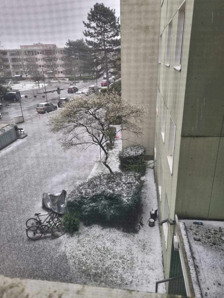 Lady_Jean25's tweet image. Von wegen #Regen..es schneit ❄️🌨