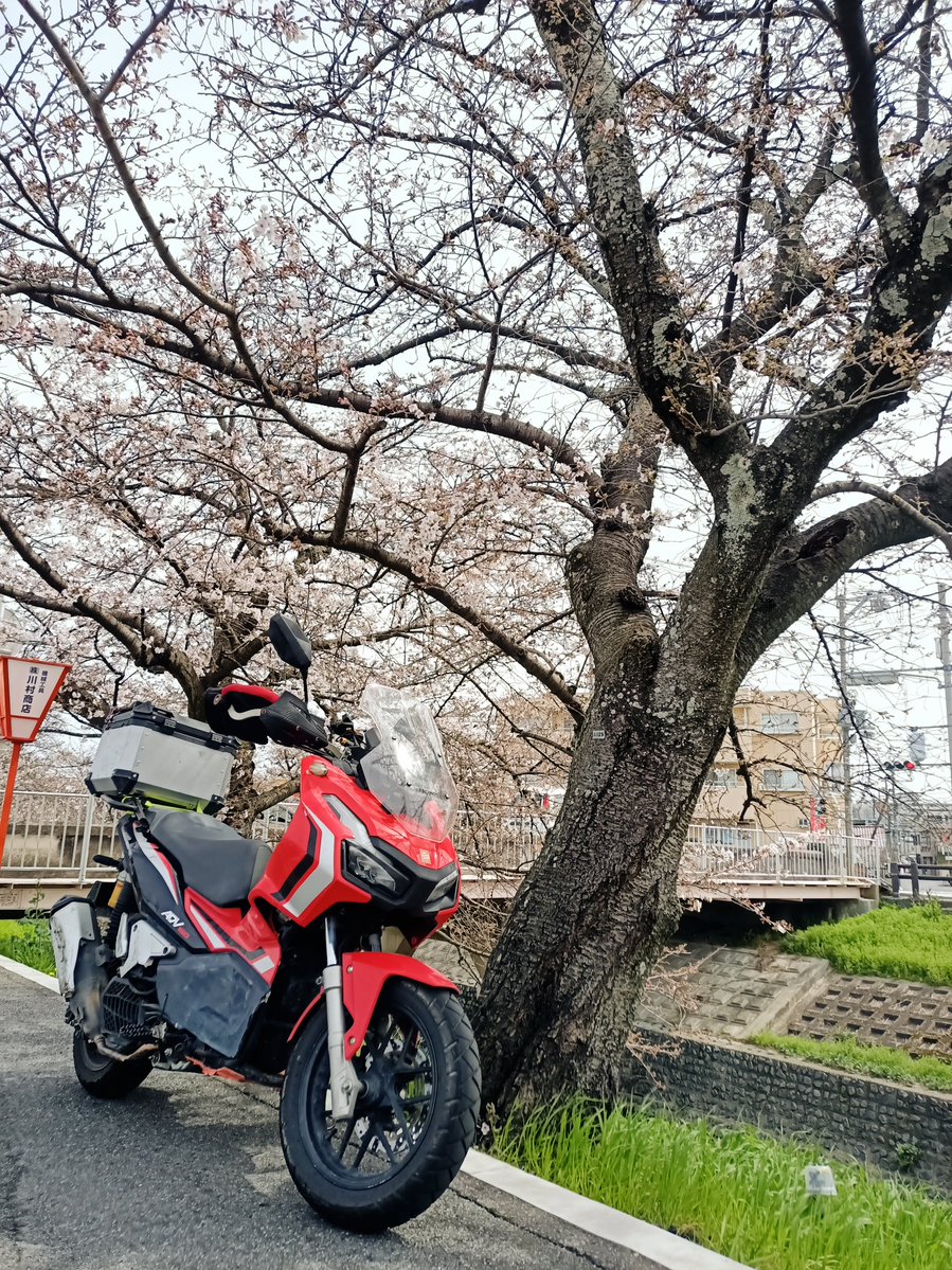 じん@なにわのオヤジ🏍人馬一体✨ tweet media
