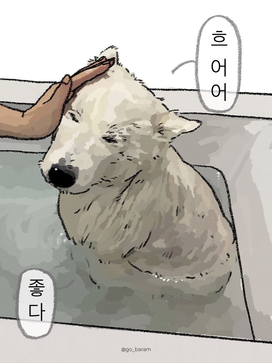 고바람 tweet media