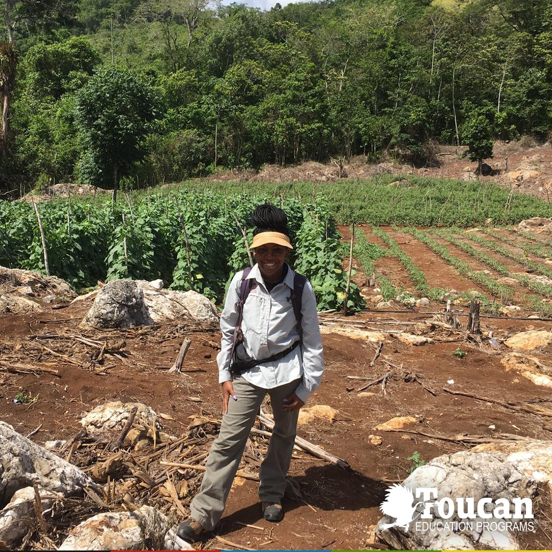 Toucan Education Programs tweet media