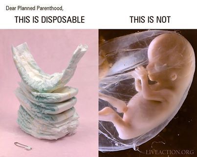 Stop Abortion Now tweet media