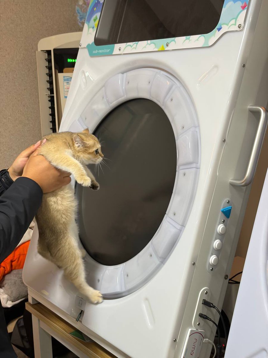 📦Acbox tweet media