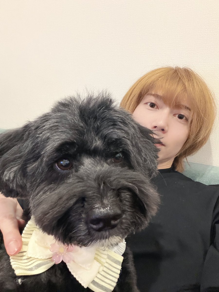 染谷俊之 tweet media