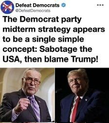 VeBee🇺🇸✝️ tweet media