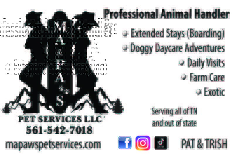 🐾 Your Pet’s Home Away From Home! 🐾
Going out of town? Don’t let "kennel stress" ruin your trip (or theirs!). At Ma &amp; Pa Pet Sitting, they bring the love, comfort, and routine of home directly to your furry family members at their place! 🏡✨ Mention #ChapmanMediaTN