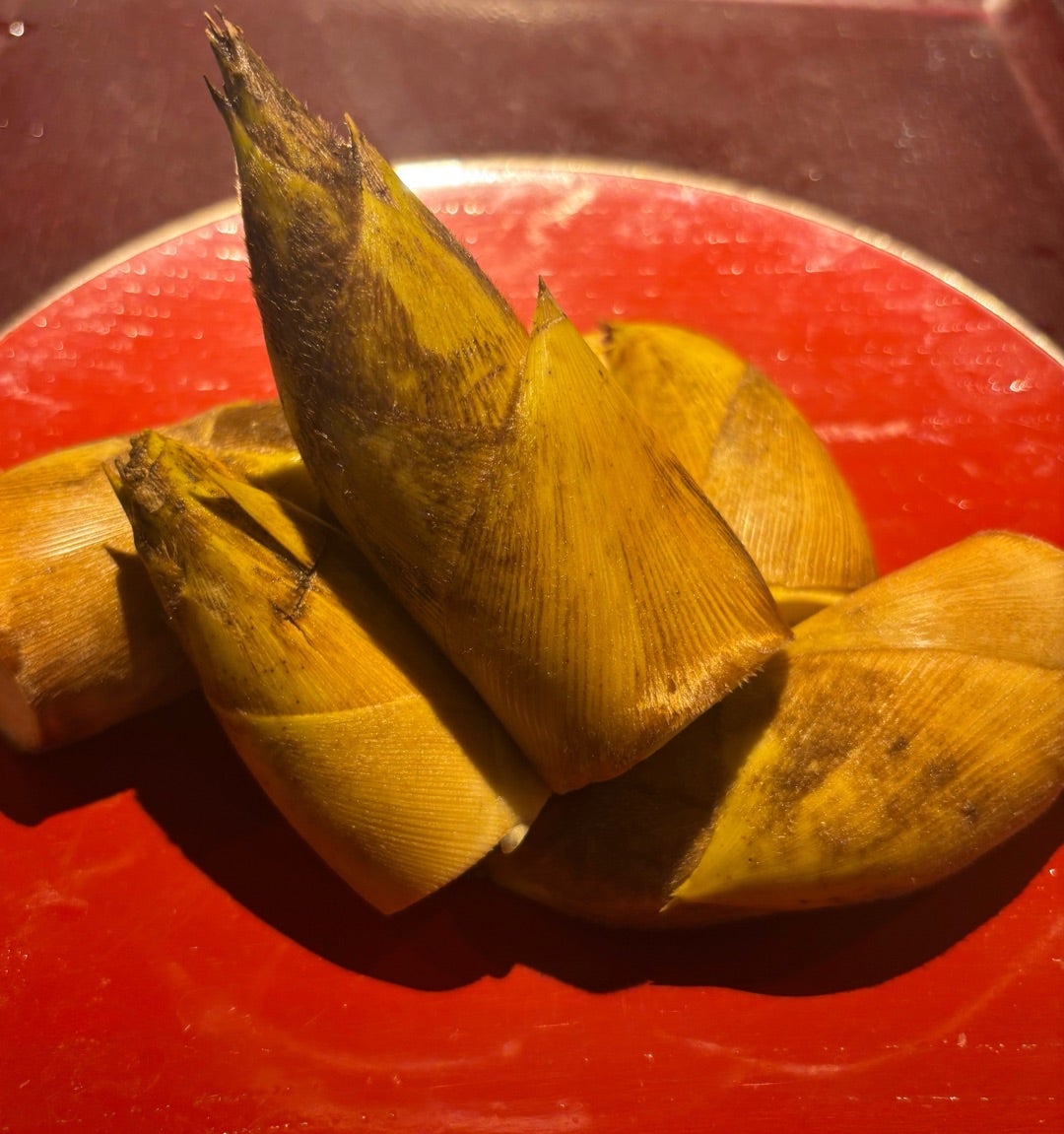 日本料理　古今本店(ここん) tweet media