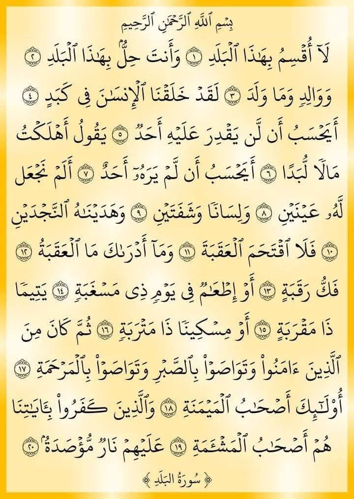 Dr. Ziedan tweet media