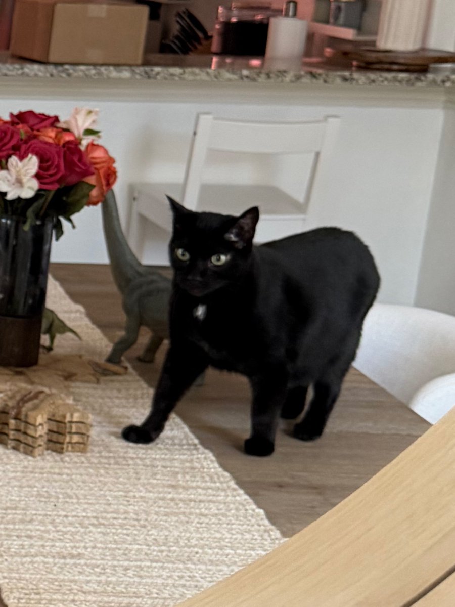 Carla Outes tweet media