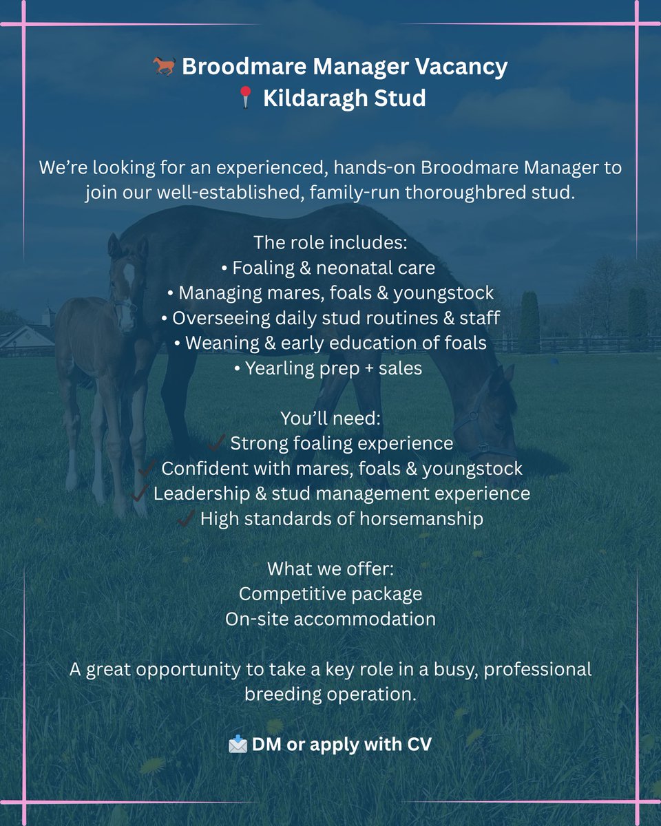 Kildaragh Stud tweet media
