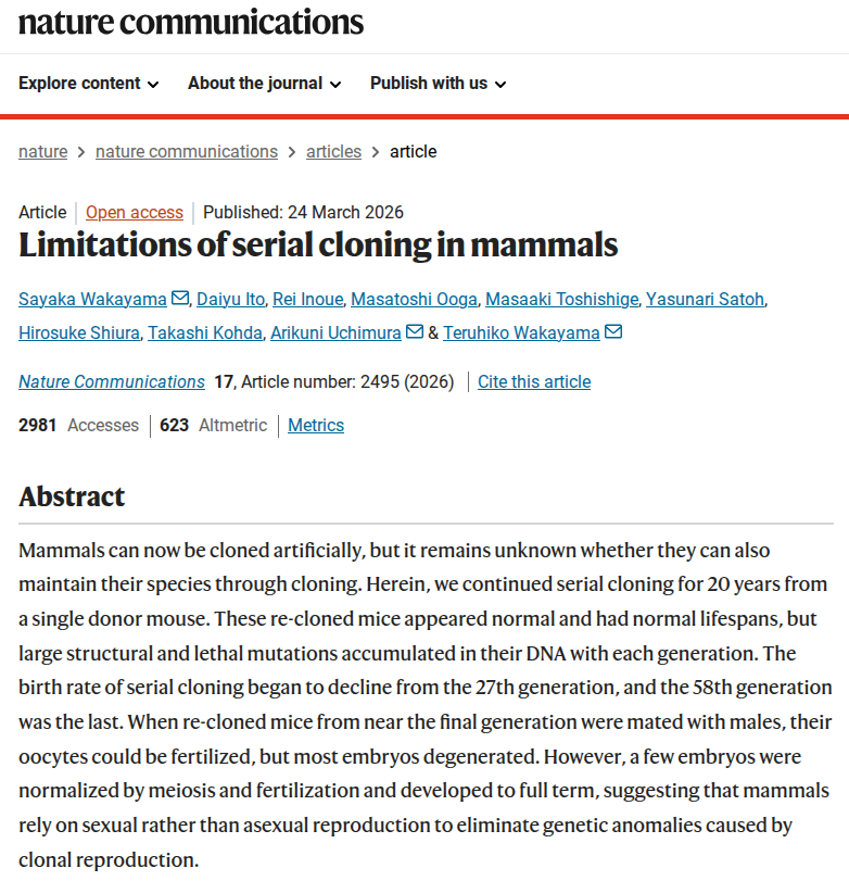 Daniil Gorbatenko tweet media