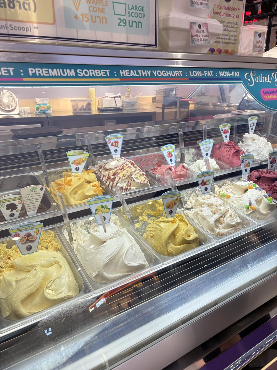 υмαяυ ༘♡ tweet media