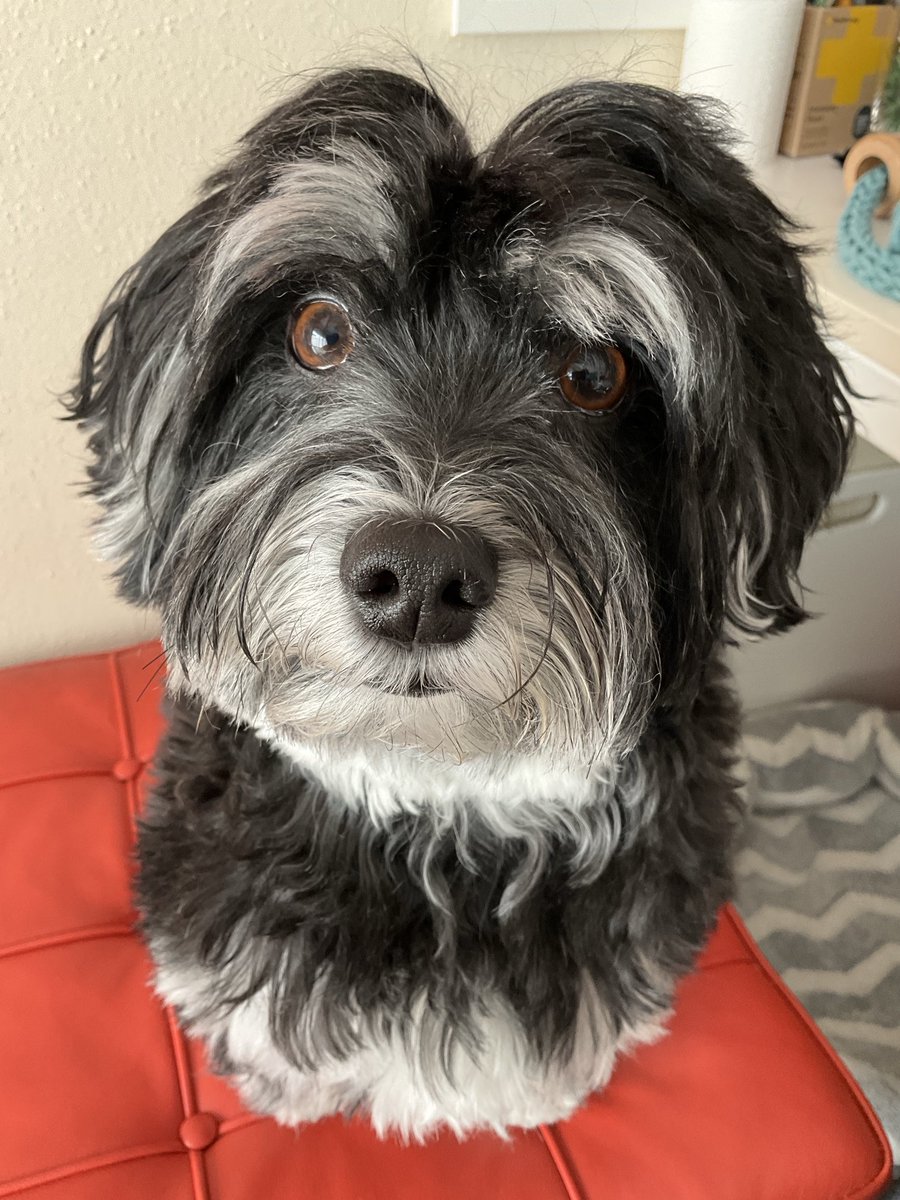 Jacky 🌞 tweet media