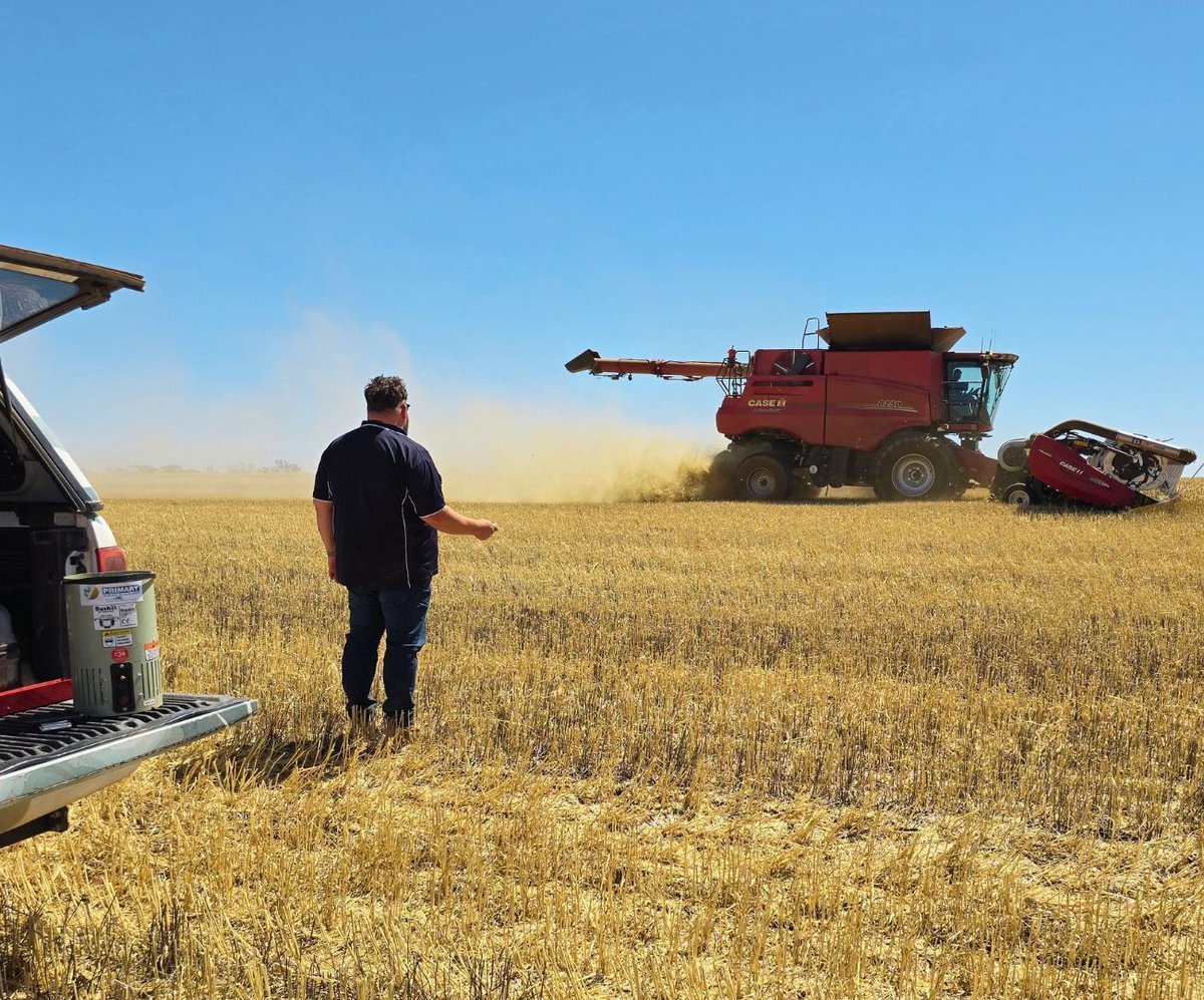 Bushel Plus 🌾 tweet media