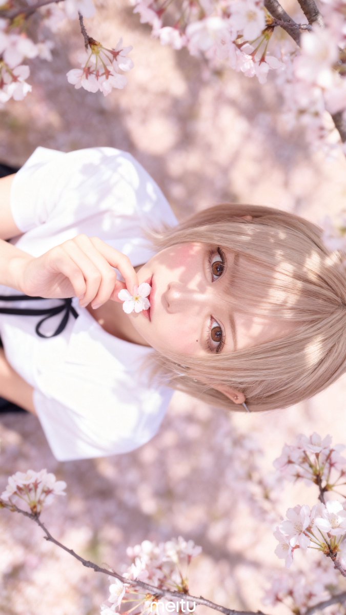 ςera➹ tweet media